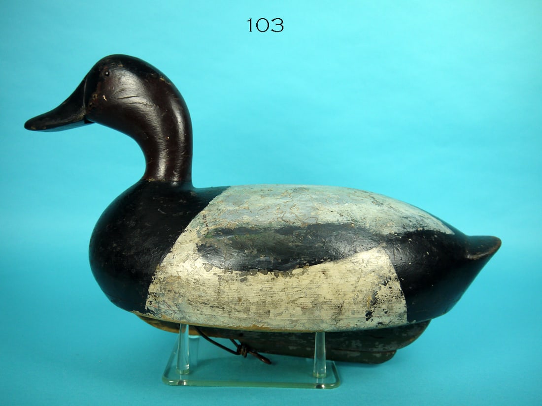 CANVASBACK DRAKE, A. MELDRUM: CANVASBACK DRAKE by Alexander Meldrum, Fair Haven, MI. Working paint with gunning wear. Very good structural condition with tight neck crack. Hollow bottom-board construction. Retains glass eyes. Bill