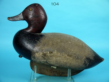 REDHEAD DRAKE, W. STRUEBING