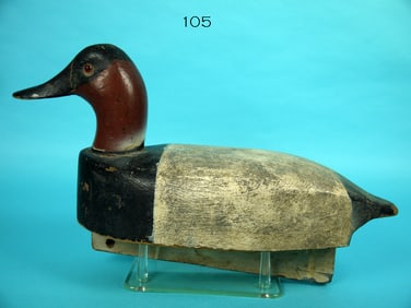 CANVASBACK DRAKE, G.P. FOX