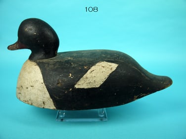 GOLDENEYE DRAKE, NOVA SCOTIA