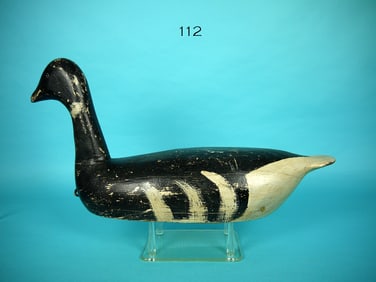 BRANT, WEST COAST