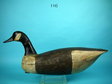 CANADA GOOSE, B. ADAMS