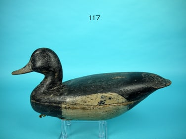 BLUEBILL DRAKE, T. APPLEGATE
