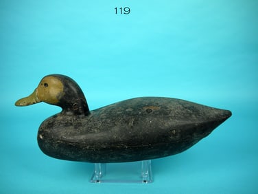 BLACK DUCK, J. BARRETT