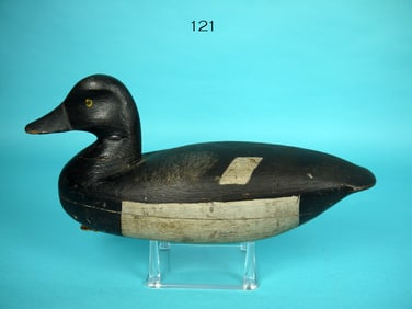 BLUEBILL DRAKE, E./J. BIRDSALL