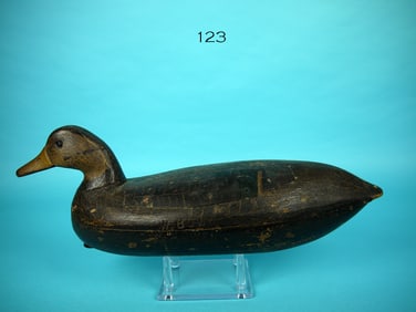 BLACK DUCK, J.W. BOWEN