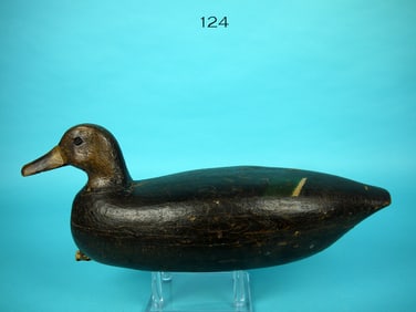 BLACK DUCK, J. BOWEN
