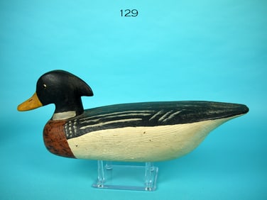 RED-BREASTED MERGANSER DRAKE, R. CORLISS