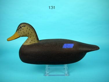 BLACK DUCK, E. CORLISS