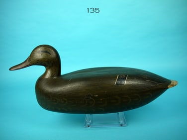 MALLARD HEN, NEW JERSEY