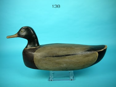MALLARD DRAKE, S. FORSYTH