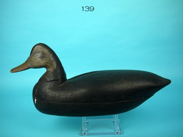 BLACK DUCK, S.P. GALE