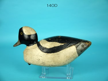 BUFFLEHEAD DRAKE, F. GANT