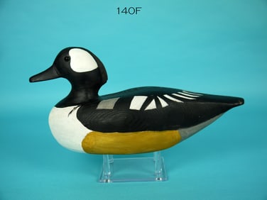 HOODED MERGANSER DRAKE, R. GANT