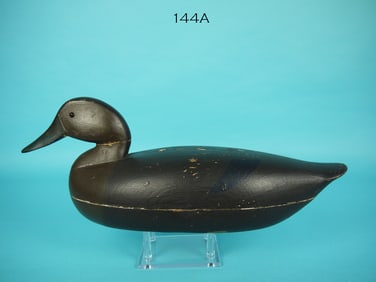 BLACK DUCK, G. HARVEY, JR.
