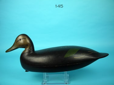 BLACK DUCK, N.R. HORNER