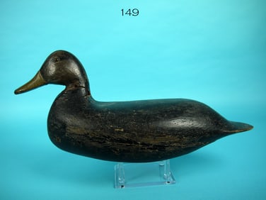 BLACK DUCK, M. KEARS ATTRIB.