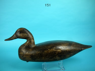 BLACK DUCK, F. LAMSON