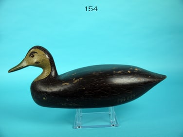 BLACK DUCK, NEW JERSEY