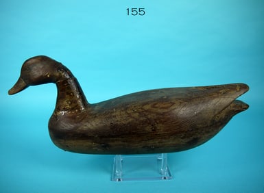 BLACK DUCK, LIPPINCOTT FAMILY