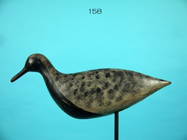 BLACK-BELLIED PLOVER, NEW JERSEY