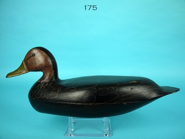 BLACK DUCK, J.E. HENDRICKSON