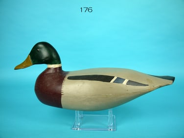 MALLARD DRAKE, J.E. HENDRICKSON