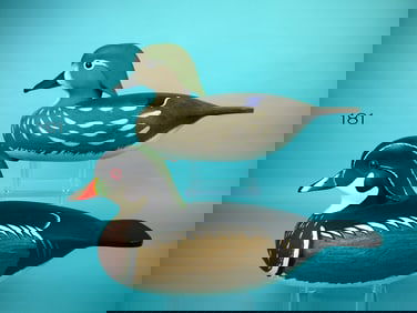 WOOD DUCK PAIR, J. HOLLOWAY