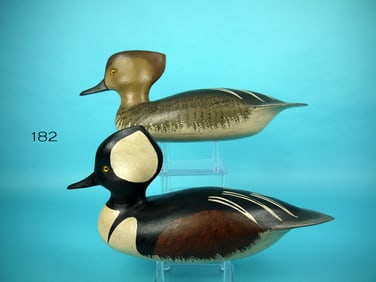 HOODED MERGANSER PAIR, J. HOLLOWAY