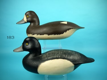 BLUEBILL PAIR, J. HOLLOWAY