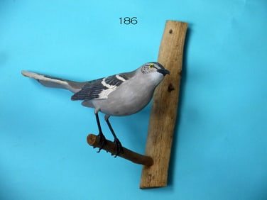 MOCKING BIRD, D. HUTCHENS
