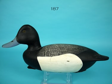 BLUEBILL DRAKE, F. JENNINGS