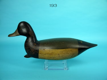 BLUEBILL DRAKE, A. PARKER