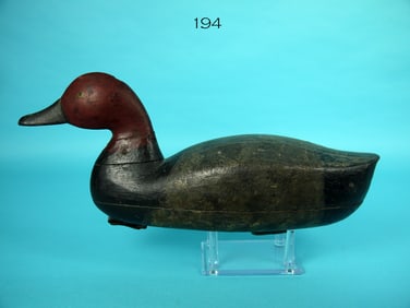 REDHEAD DRAKE, C. PARKER