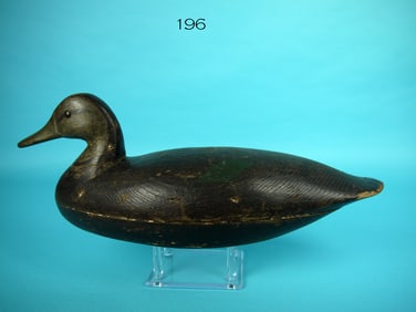 BLACK DUCK, E. PARKER