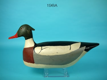 RED-BREASTED MERGANSER, J.C. PARKER