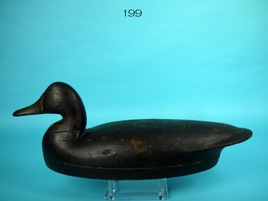 BLACK DUCK, J. PARKER