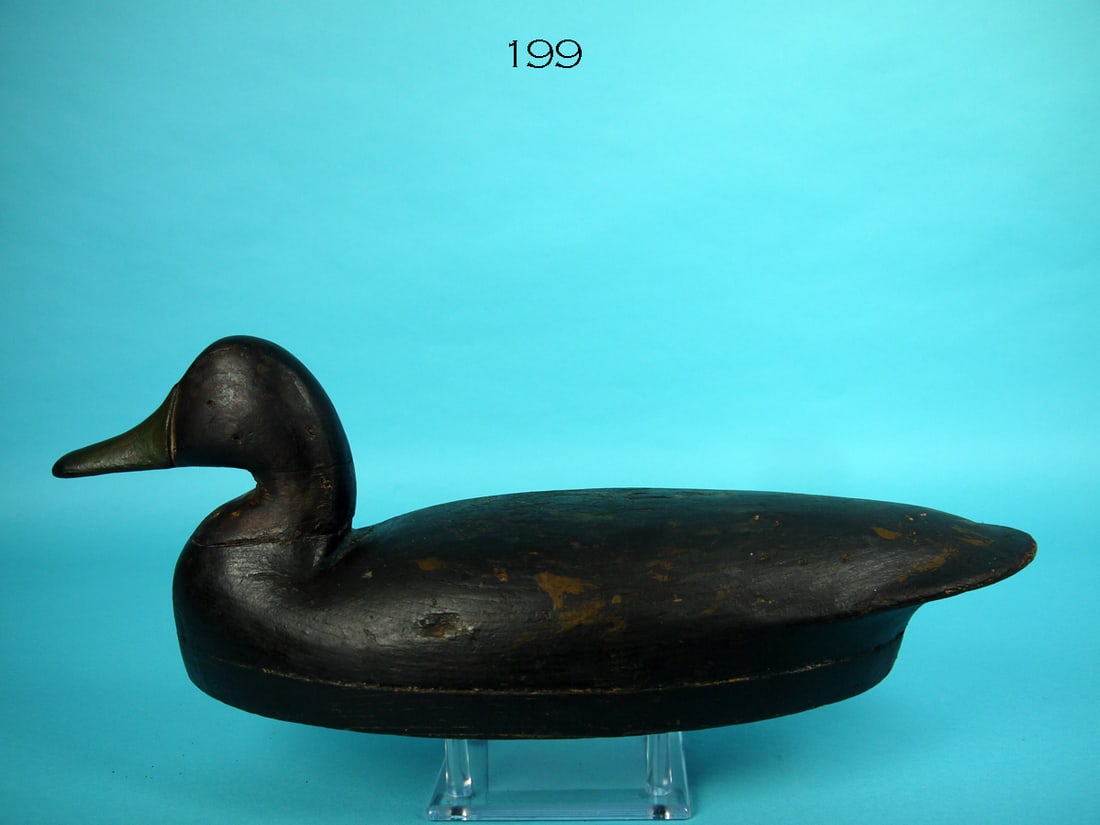 BLACK DUCK, J. PARKER (1 of 4)