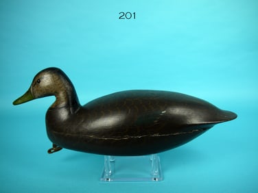 BLACK DUCK, L. PARKER