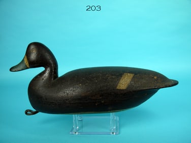 BLUEBILL HEN, L. PARKER