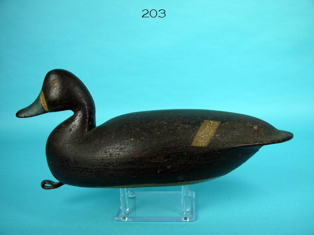 BLUEBILL HEN, L. PARKER (1 of 4)