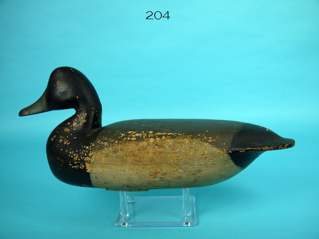 BLUEBILL DRAKE, L. PARKER (1 of 4)