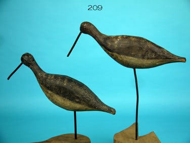 TWO YELLOWLEGS, W. PENN