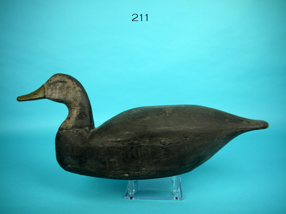 BLACK DUCK, B. RIDGEWAY ATTRIB. (1 of 4)