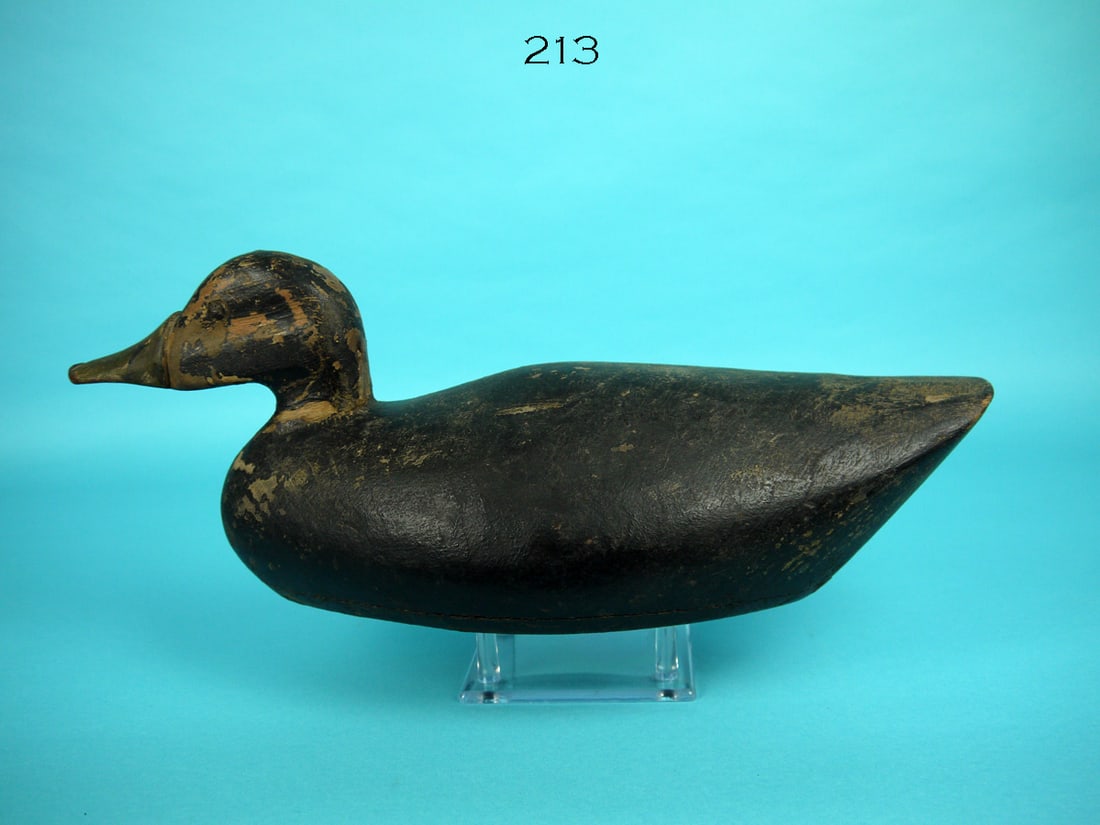BLACK DUCK, T. ROBINSON (1 of 4)