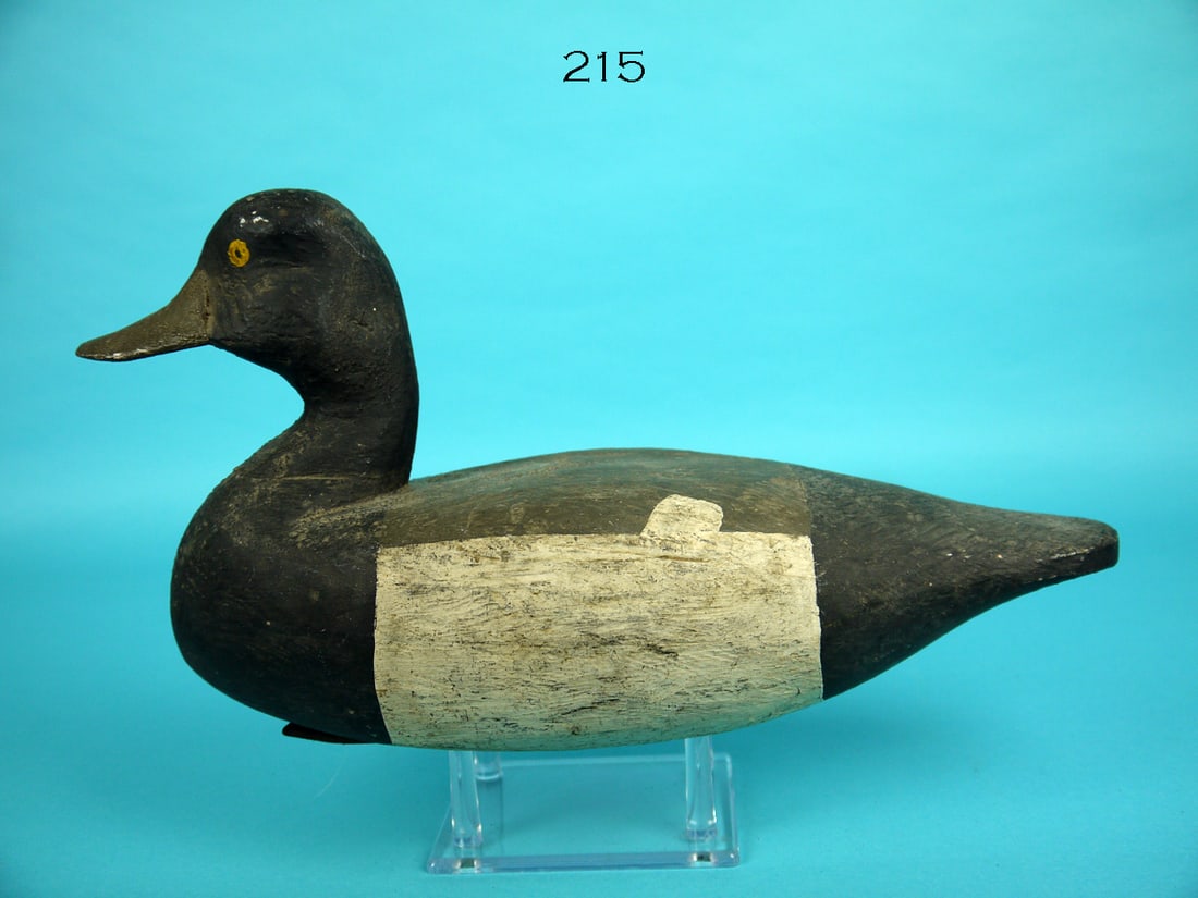 BLUEBILL DRAKE, J. SASZRANT (1 of 4)