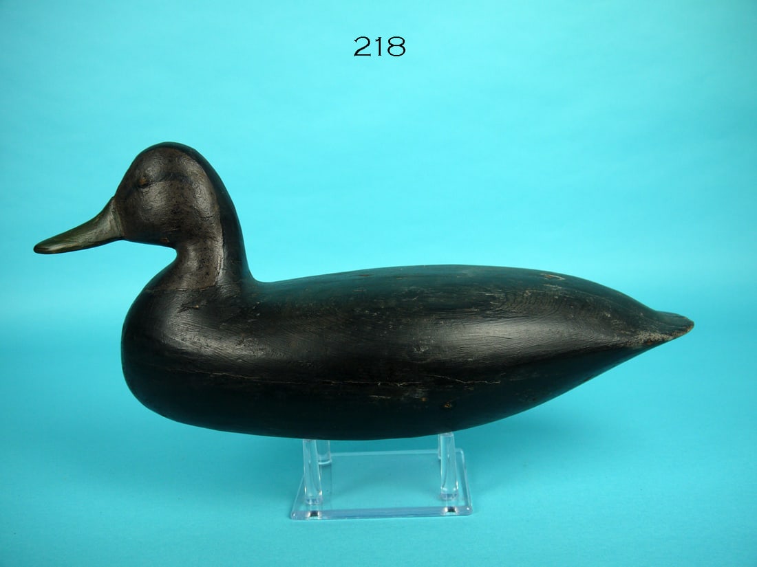 BLACK DUCK, H.V. SHOURDS (1 of 4)