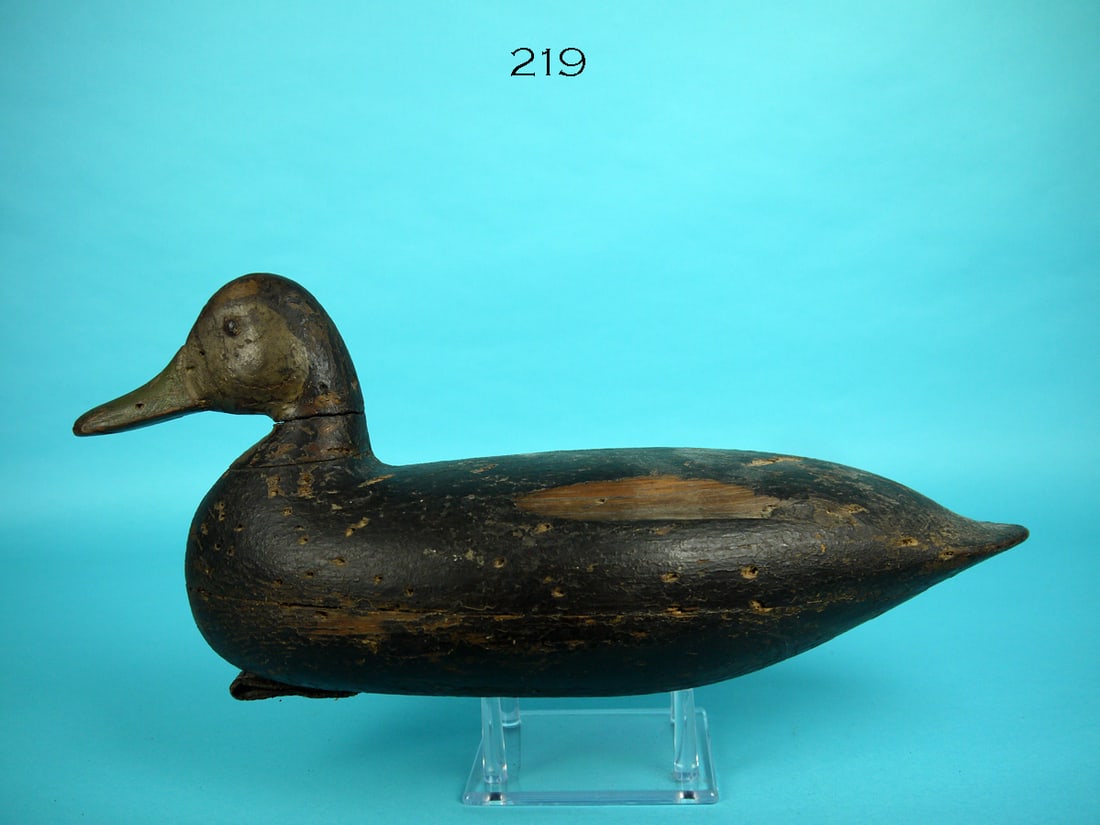 BLACK DUCK, H.V. SHOURDS (1 of 4)