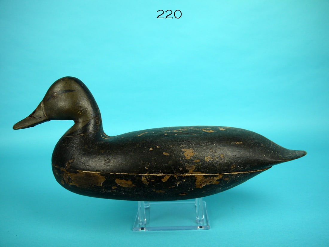 BLACK DUCK, H.V. SHOURDS (1 of 4)