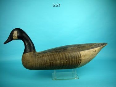 CANADA GOOSE, H.V. SHOURDS
